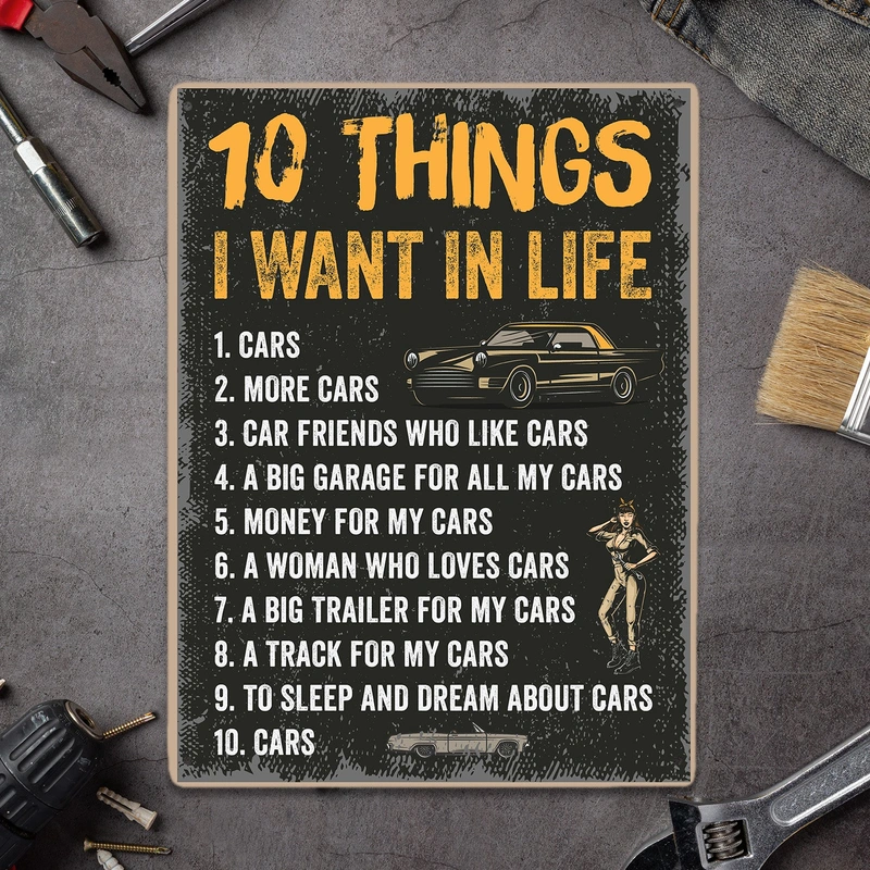 10 Things I Want In Life, Metal Signs