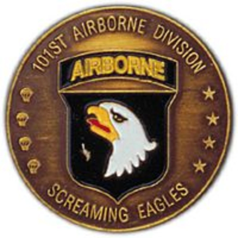 101ST ABN DIV COIN