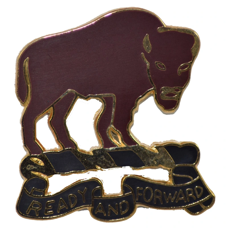 10TH CAV RGT HAT PIN